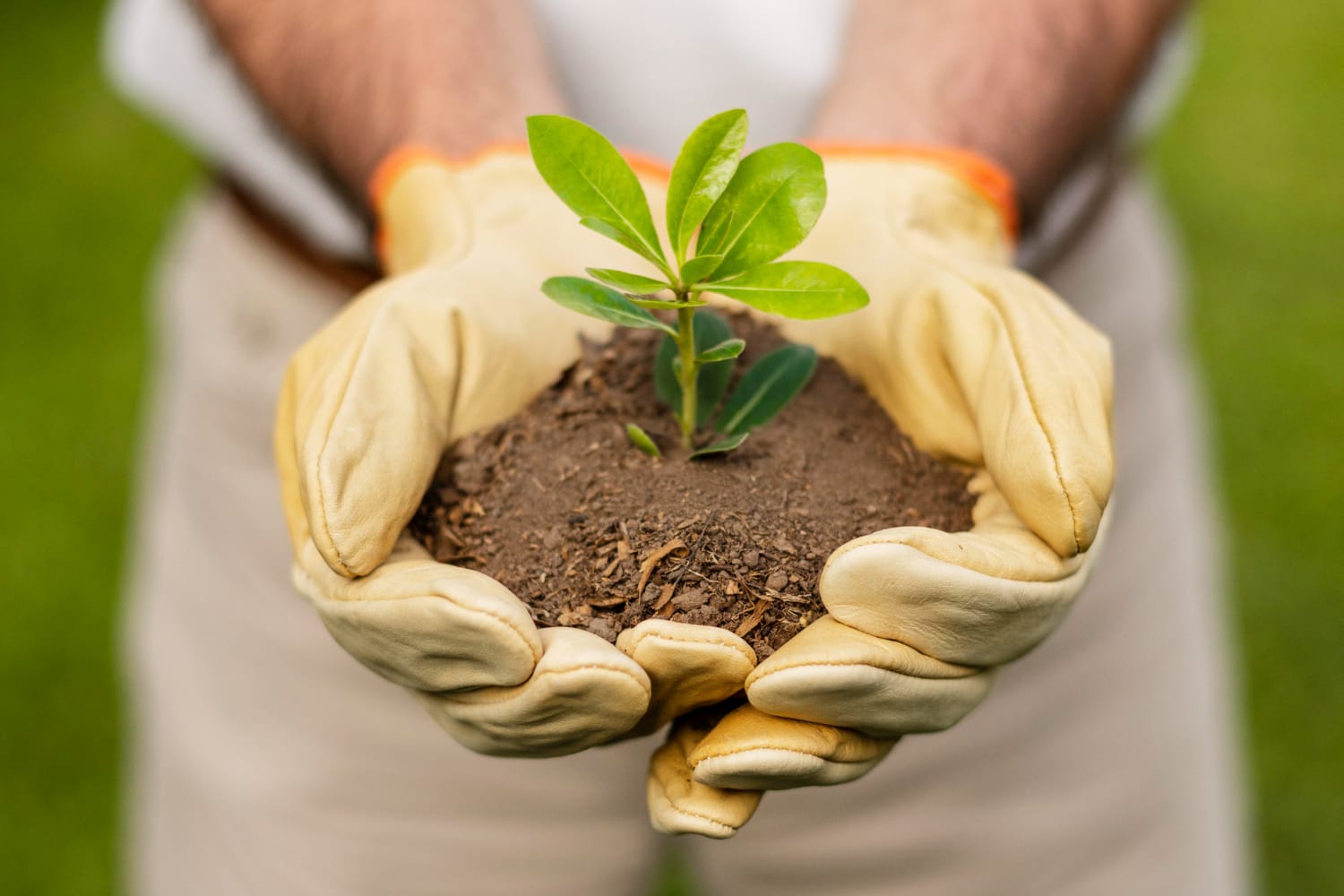 Curso de Meio Ambiente e Futuro