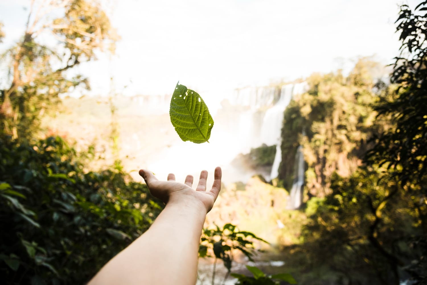 Curso Técnicas Aplicadas ao Meio Ambiente