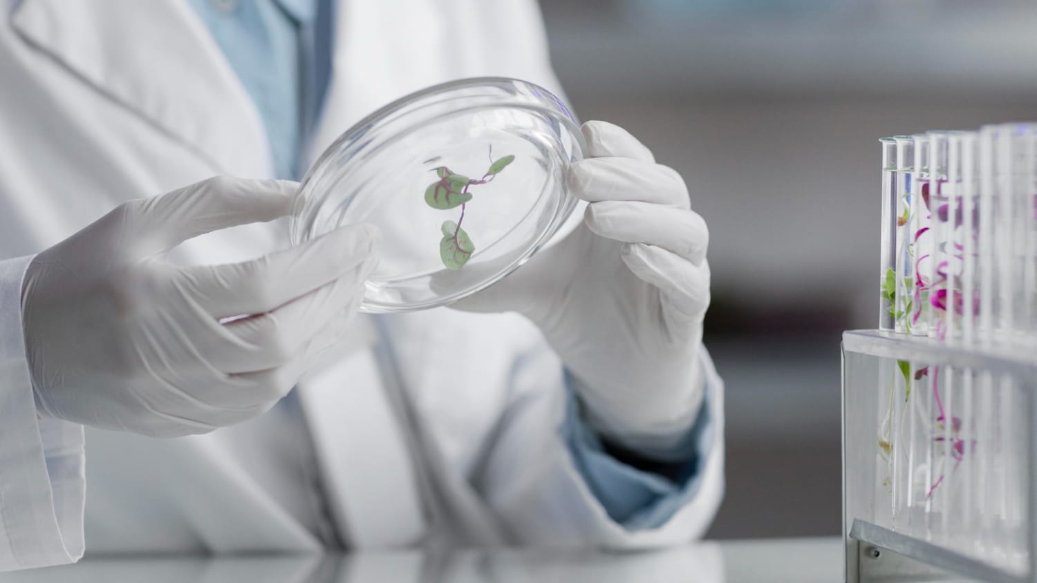 Curso de Direito e Bioética