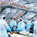 Curso de Inspeção de Alimentos